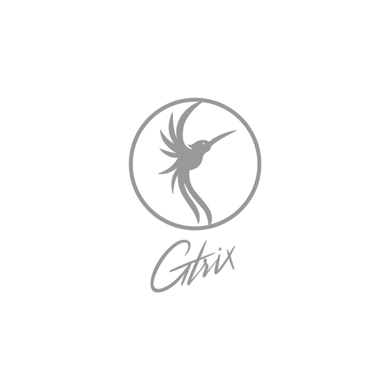 Gtrix Logo Referenz