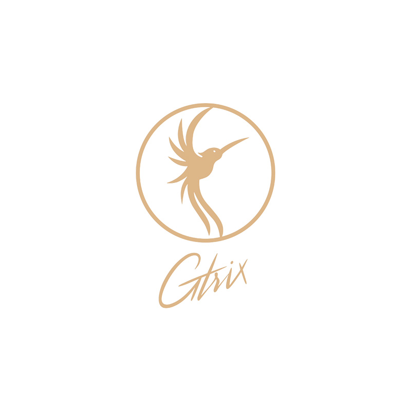 Gtrix Logo Referenz
