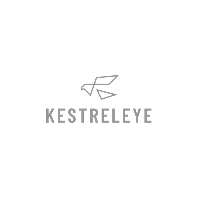 Kestrel Eye Logo Referenz