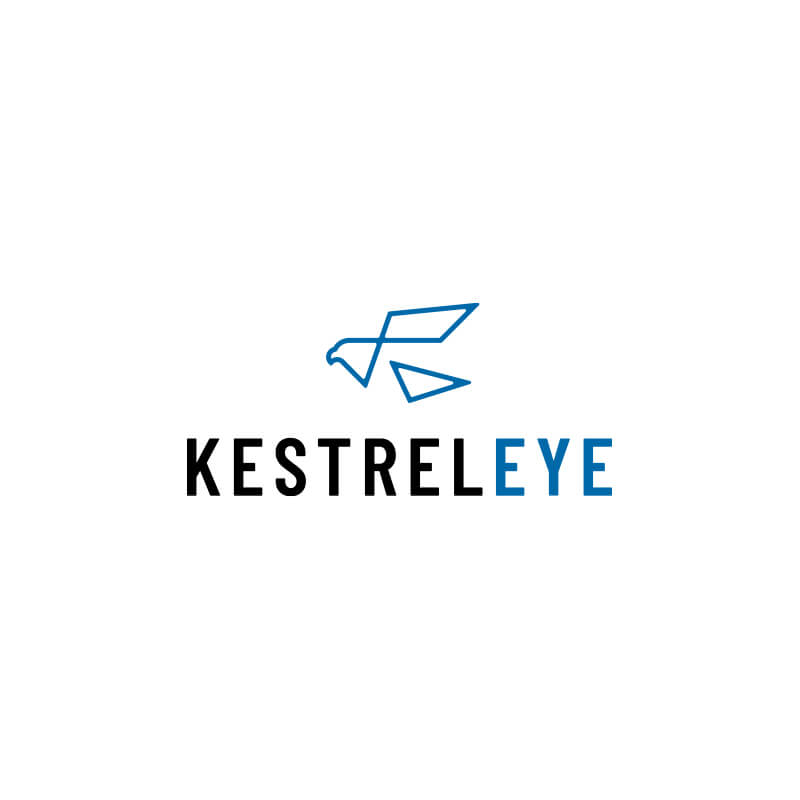 Kestrel Eye Logo Referenz