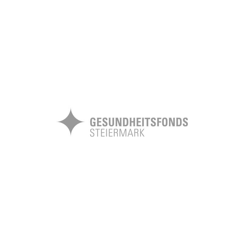 Gesundheitsfonds Steiermark Logo Referenz