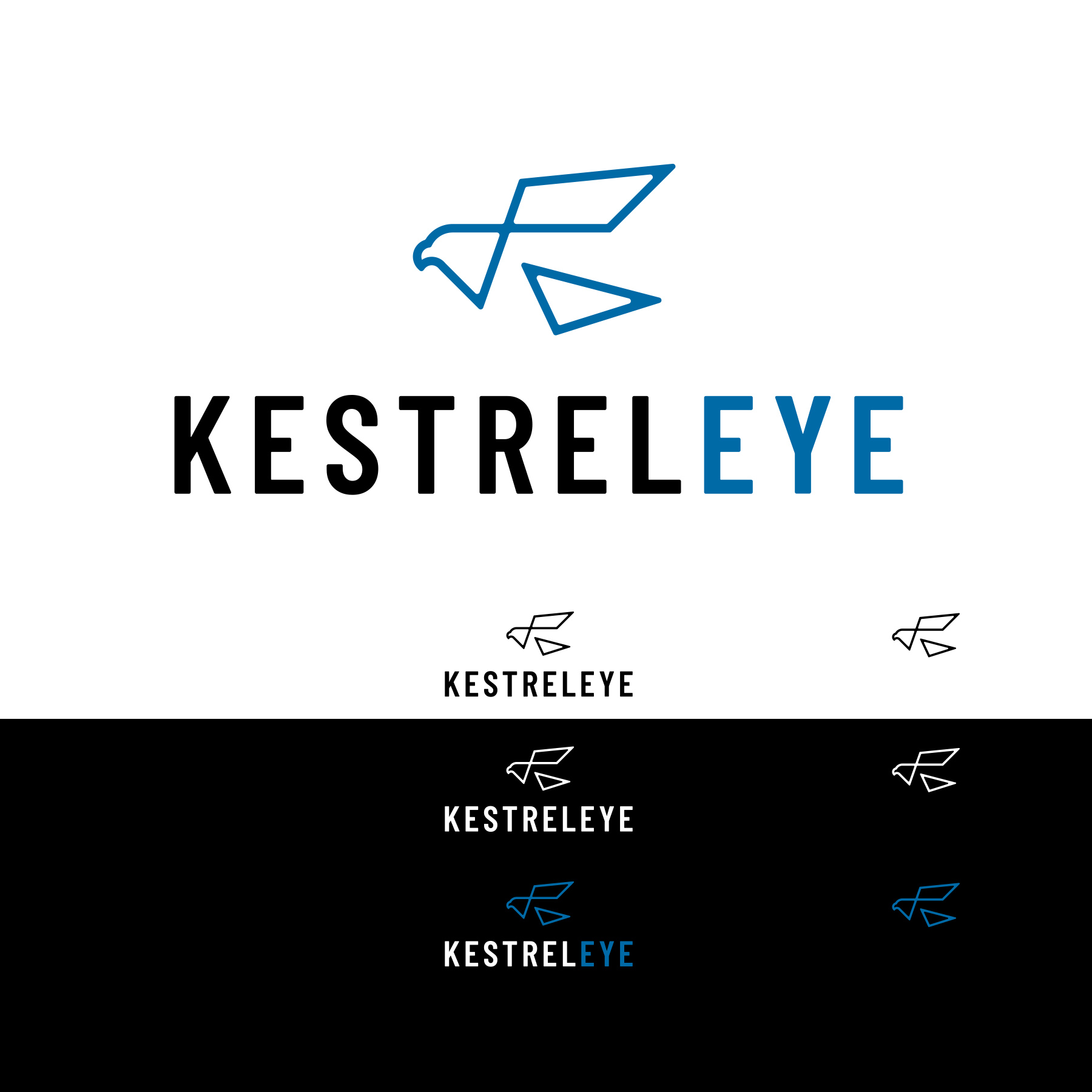 Kestreleye1